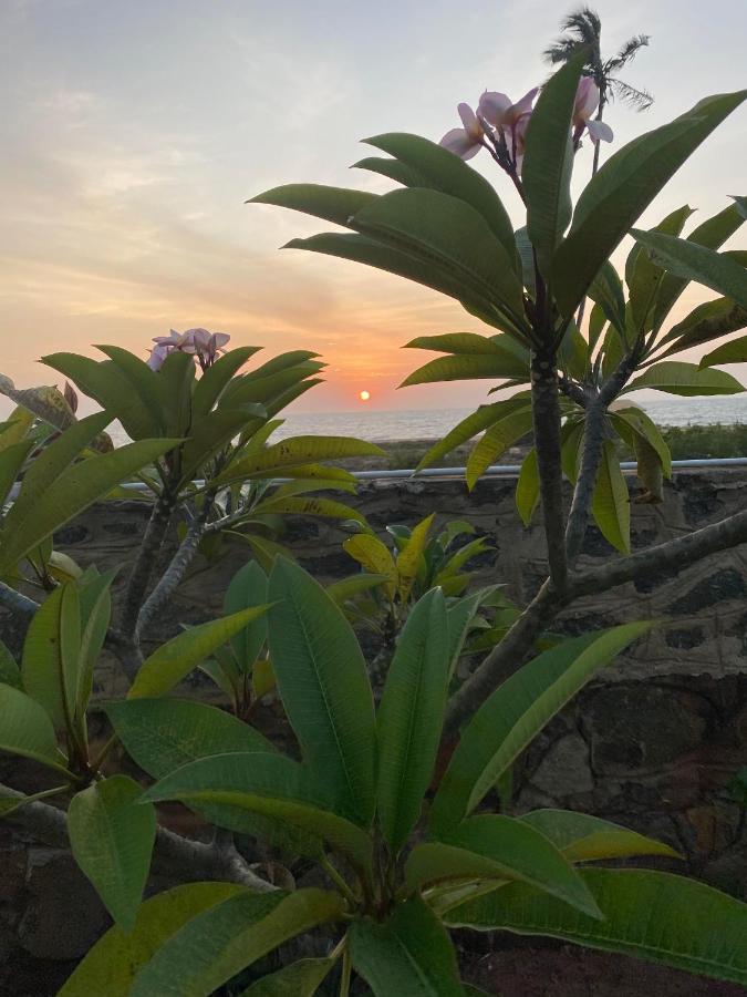 Spice Of Ceylon Chilaw Exterior foto